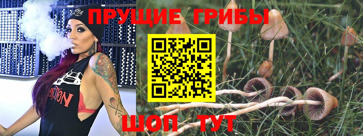 Нарткала  Псилоцибиновые грибы Psilocybe  Вход с VPN  Галлюциногенные грибы MAGIC MUSHROOMS 